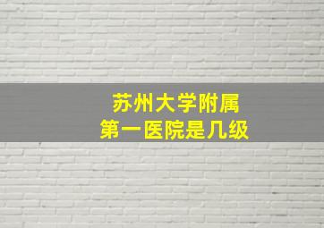 苏州大学附属第一医院是几级