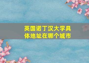 英国诺丁汉大学具体地址在哪个城市