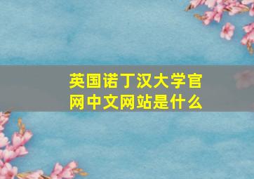 英国诺丁汉大学官网中文网站是什么