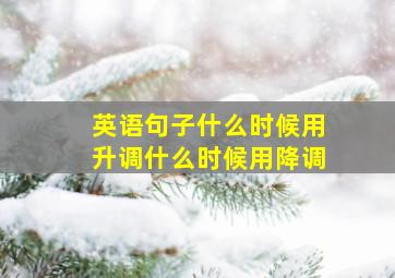 英语句子什么时候用升调什么时候用降调