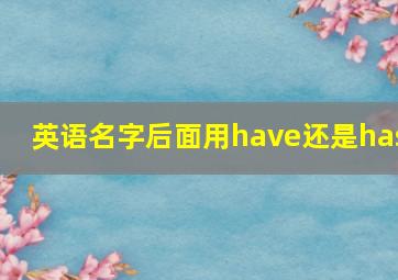 英语名字后面用have还是has