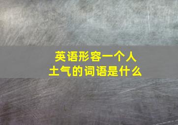 英语形容一个人土气的词语是什么