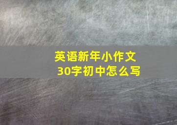 英语新年小作文30字初中怎么写