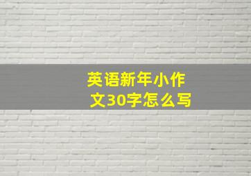 英语新年小作文30字怎么写