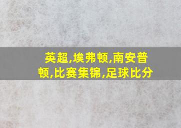 英超,埃弗顿,南安普顿,比赛集锦,足球比分