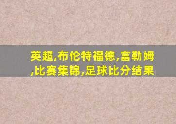 英超,布伦特福德,富勒姆,比赛集锦,足球比分结果