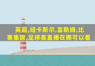 英超,纽卡斯尔,富勒姆,比赛集锦,足球赛直播在哪可以看