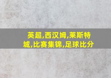 英超,西汉姆,莱斯特城,比赛集锦,足球比分