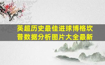 英超历史最佳进球博格坎普数据分析图片大全最新