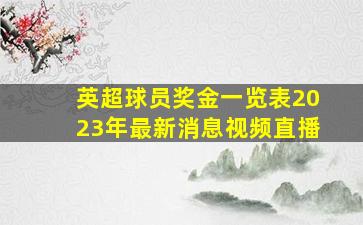 英超球员奖金一览表2023年最新消息视频直播