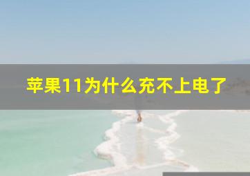 苹果11为什么充不上电了