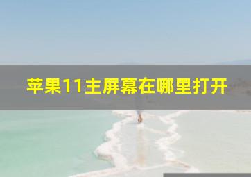 苹果11主屏幕在哪里打开