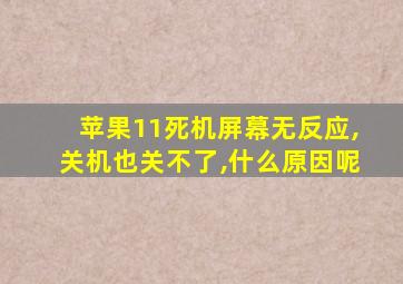 苹果11死机屏幕无反应,关机也关不了,什么原因呢