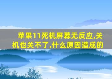 苹果11死机屏幕无反应,关机也关不了,什么原因造成的