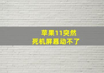 苹果11突然死机屏幕动不了