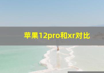 苹果12pro和xr对比