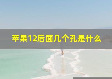 苹果12后面几个孔是什么