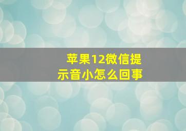 苹果12微信提示音小怎么回事