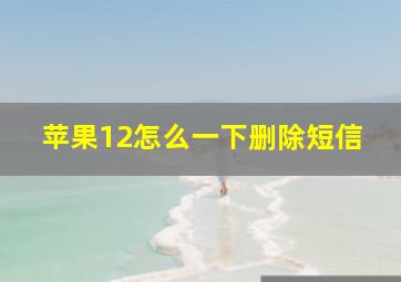 苹果12怎么一下删除短信