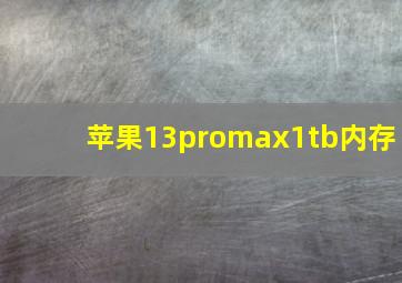 苹果13promax1tb内存