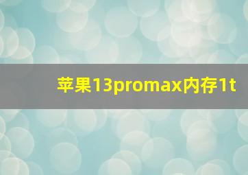 苹果13promax内存1t