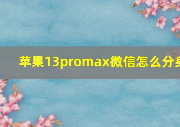 苹果13promax微信怎么分身