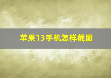 苹果13手机怎样截图