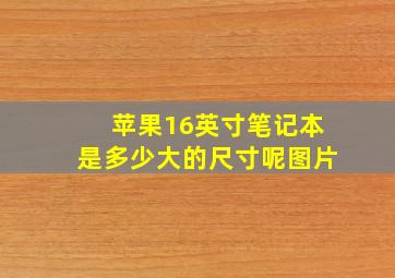 苹果16英寸笔记本是多少大的尺寸呢图片