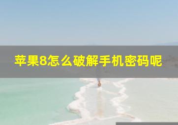 苹果8怎么破解手机密码呢