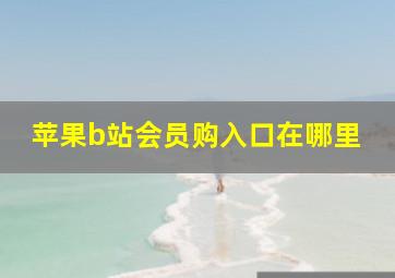 苹果b站会员购入口在哪里