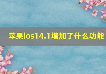 苹果ios14.1增加了什么功能