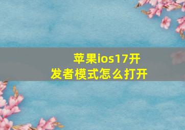 苹果ios17开发者模式怎么打开