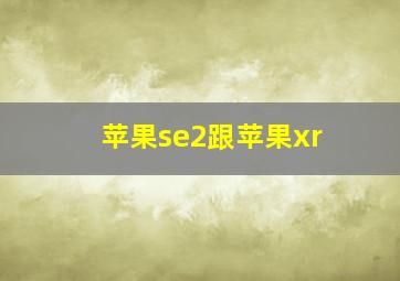 苹果se2跟苹果xr