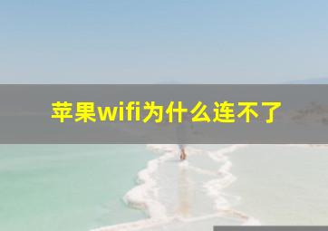 苹果wifi为什么连不了