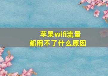 苹果wifi流量都用不了什么原因