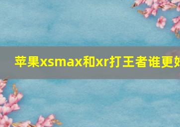 苹果xsmax和xr打王者谁更好