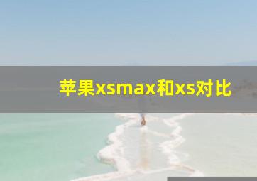 苹果xsmax和xs对比