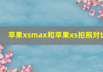 苹果xsmax和苹果xs拍照对比