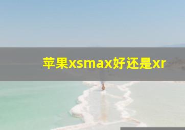 苹果xsmax好还是xr