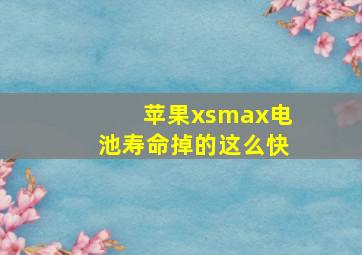 苹果xsmax电池寿命掉的这么快