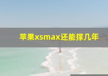 苹果xsmax还能撑几年