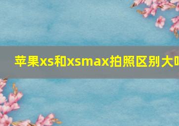 苹果xs和xsmax拍照区别大吗