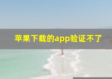 苹果下载的app验证不了