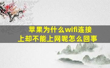 苹果为什么wifi连接上却不能上网呢怎么回事