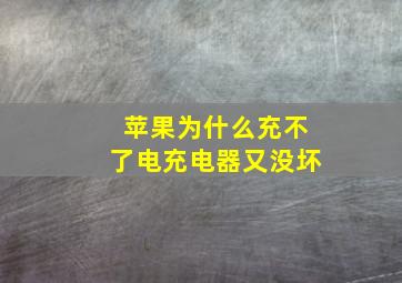 苹果为什么充不了电充电器又没坏