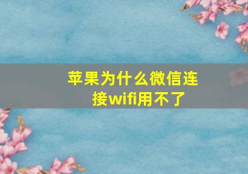 苹果为什么微信连接wifi用不了