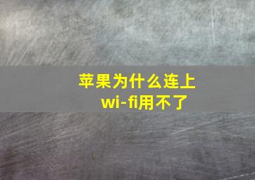 苹果为什么连上wi-fi用不了