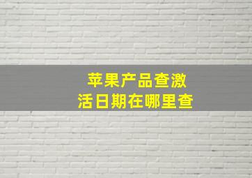 苹果产品查激活日期在哪里查