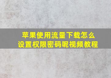 苹果使用流量下载怎么设置权限密码呢视频教程