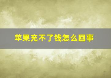 苹果充不了钱怎么回事